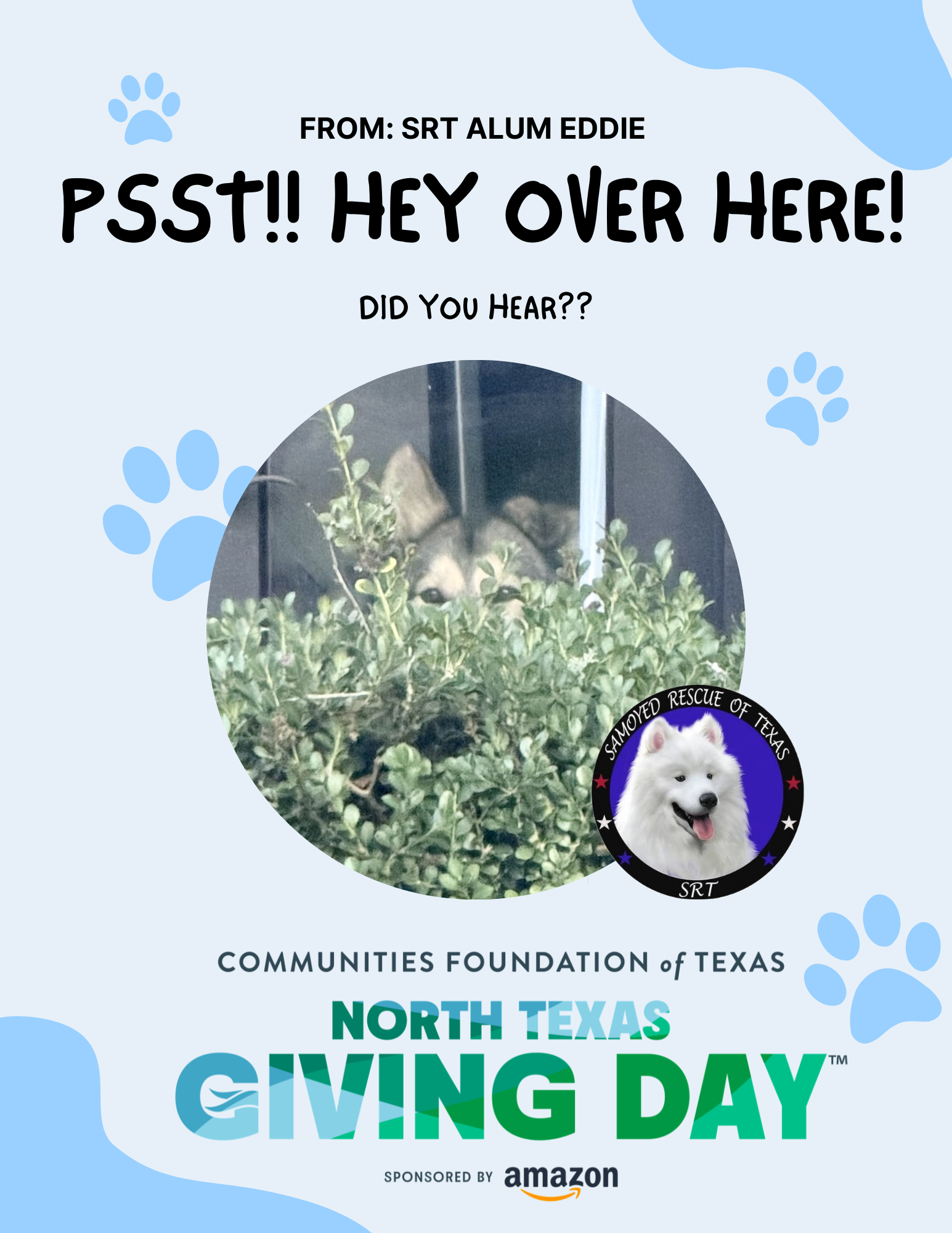 North Texas Giving Day promotional graphic